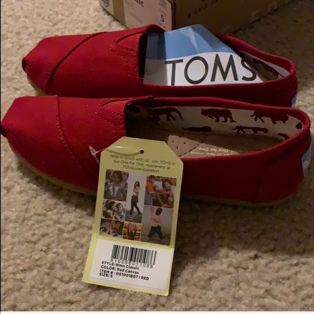 Shoes canvas